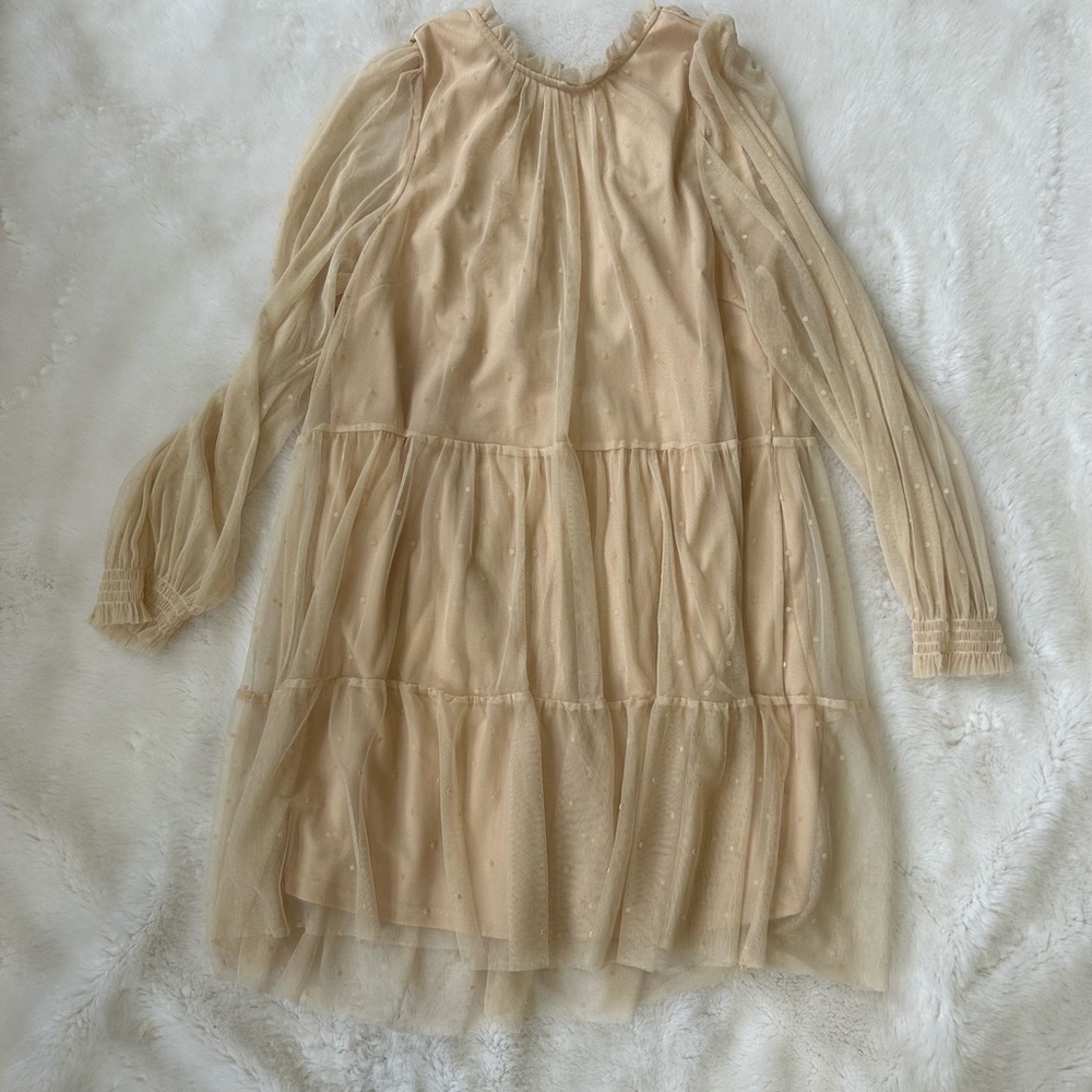 H&M Mesh Dress
